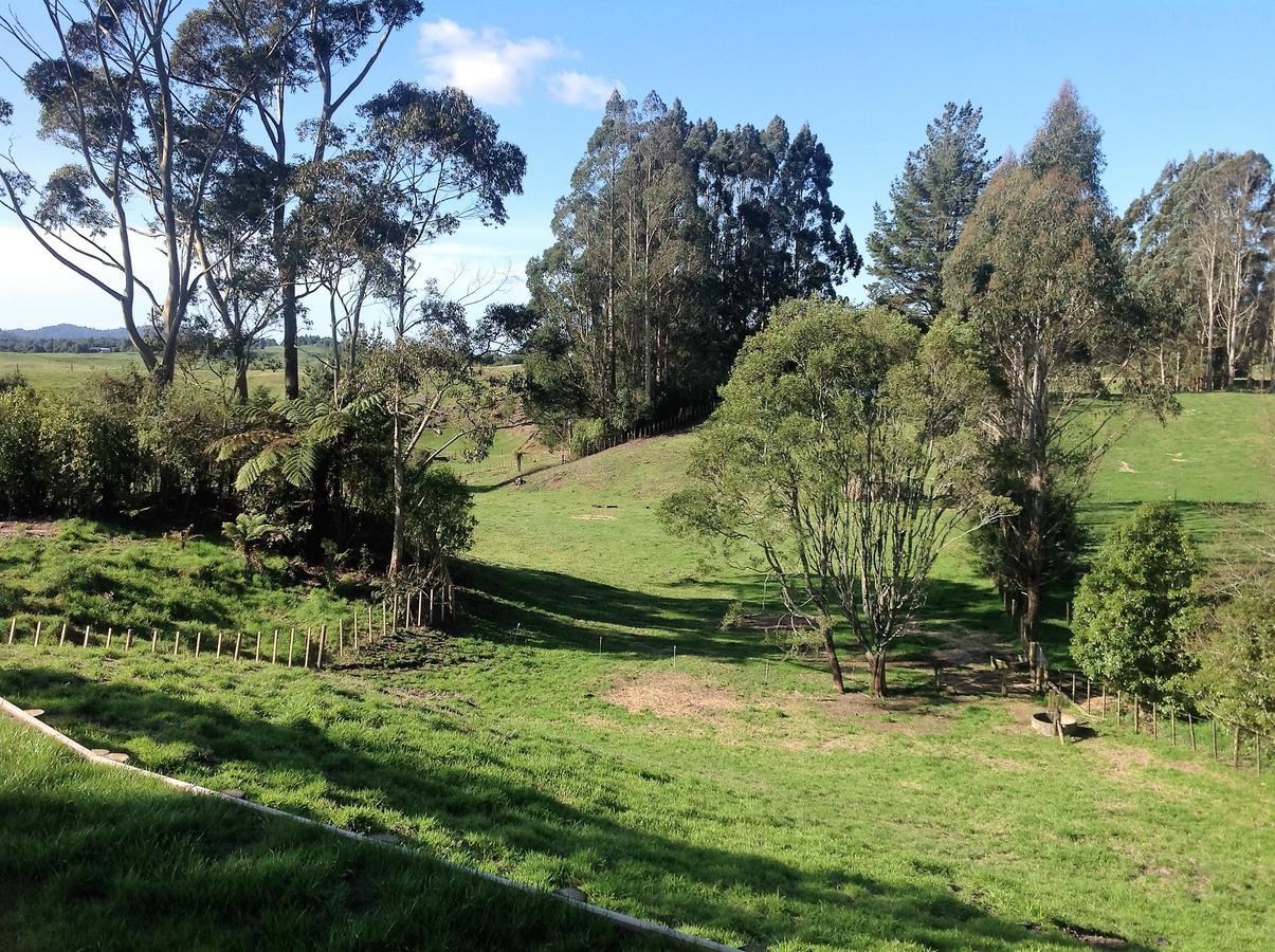 Rolling Hills Country Stay B&B Tauranga Zewnętrze zdjęcie