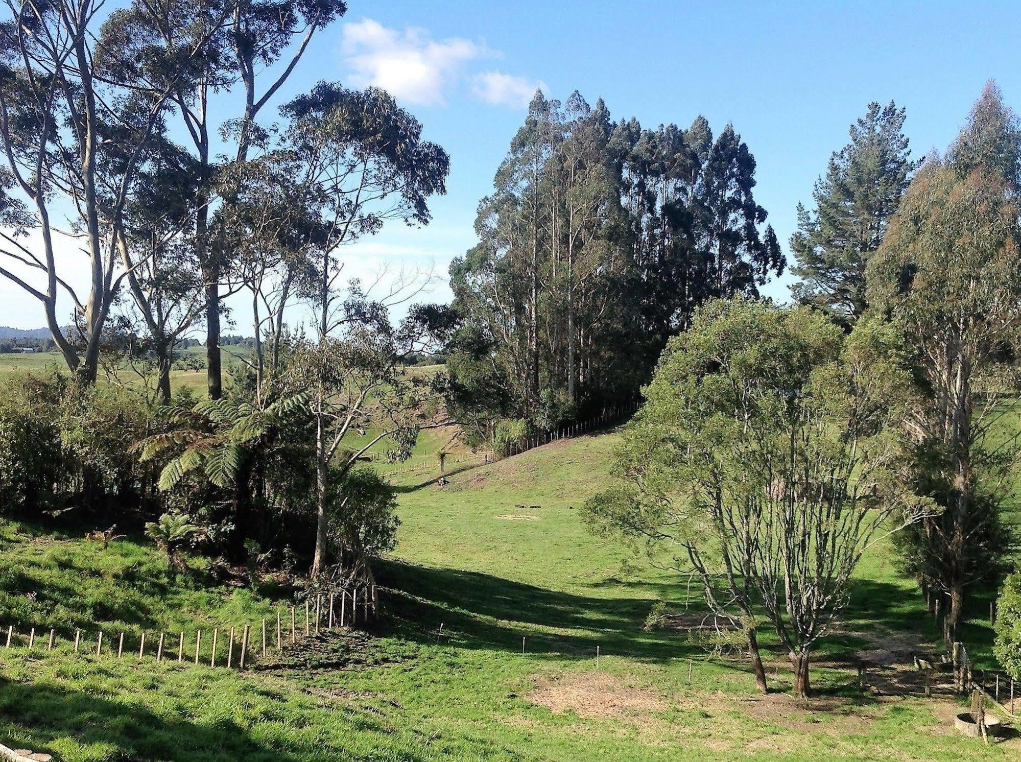 Rolling Hills Country Stay B&B Tauranga Zewnętrze zdjęcie