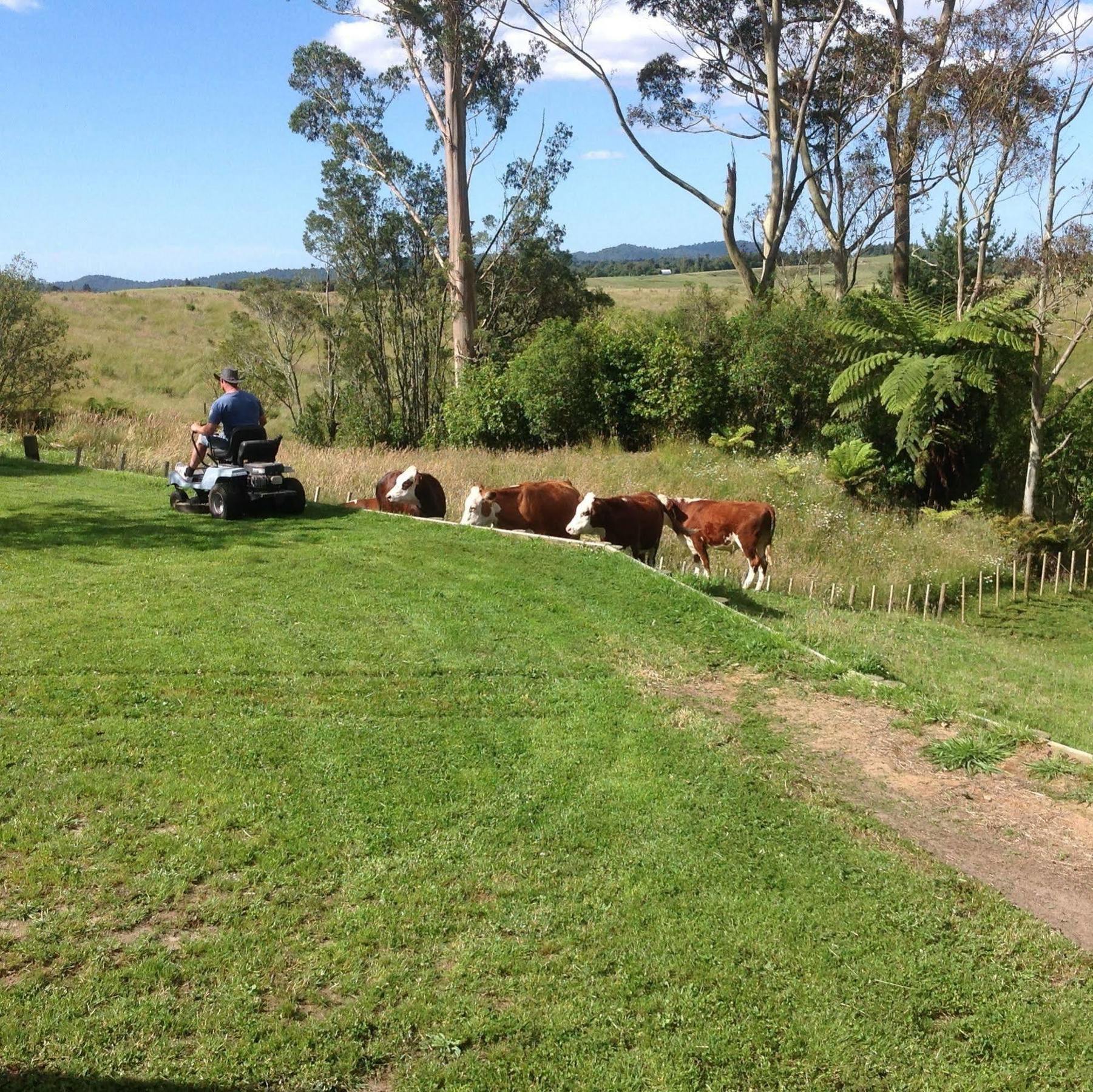 Rolling Hills Country Stay B&B Tauranga Zewnętrze zdjęcie